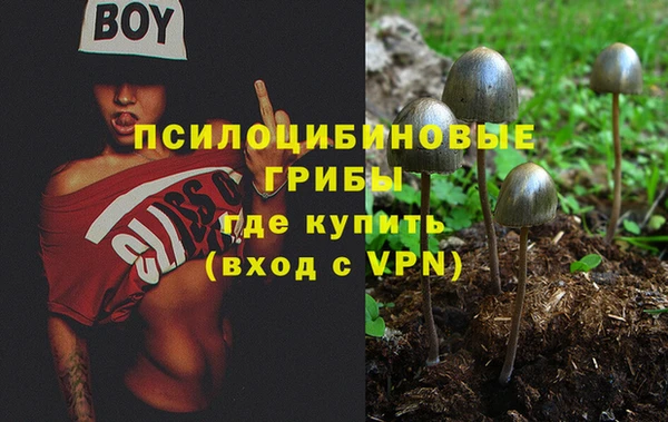 спиды Белоозёрский