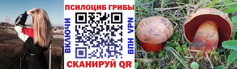 как найти наркотики  Куровское  Псилоцибиновые грибы Psilocybe 