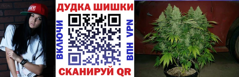 Конопля ГИДРОПОН  как найти   Куровское 